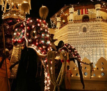 elephant-with-costumes-kandy-perehara.jpg