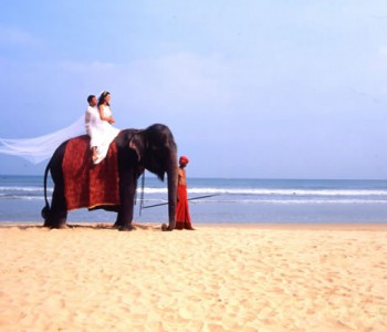 bentota-wedding-couple-elephant-ride.jpg